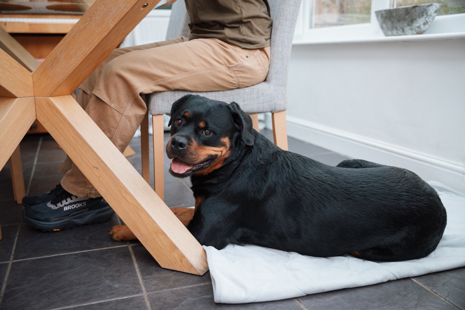 A dog resting on a mat beside Flurina in the home environment
